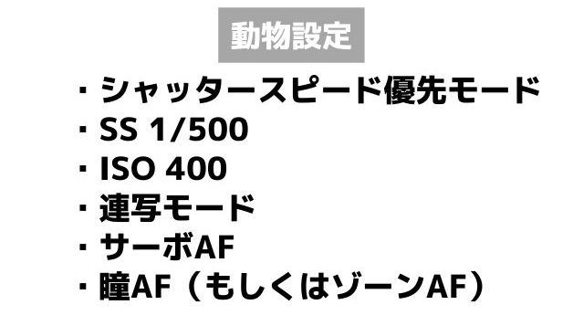 動物撮影用カスタム設定内容