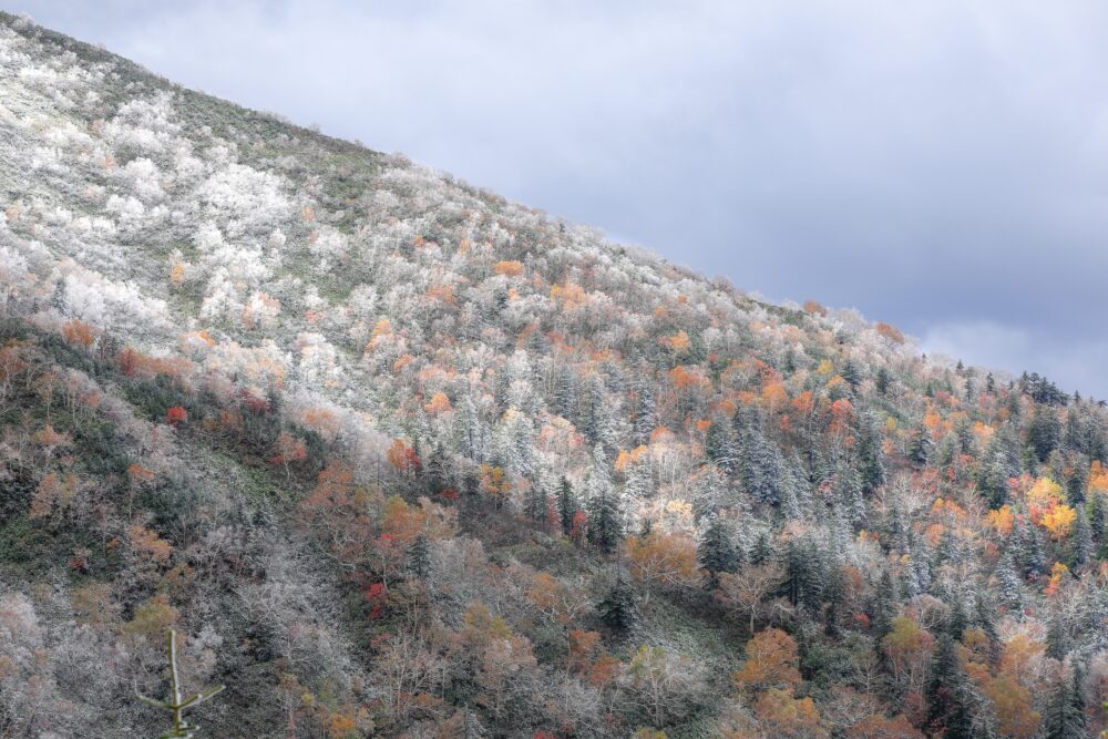 北海道上富良野町・山の紅葉と雪