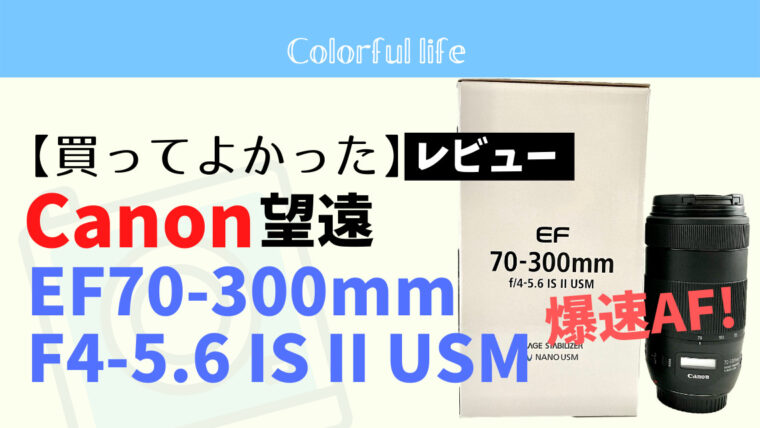 買ってよかった Canon Ef70 300mm F4 5 6 Is Ii Usmレビュー 感想 中古の買い方も紹介 カメラ初心者のための写真ブログ