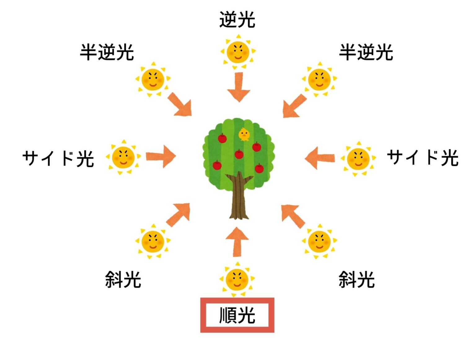 【10分でわかる!】風景写真における光の基礎と撮り方を初心者向けにわかりやすく解説美瑛フォト
