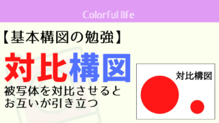 対比構図は被写体を対比させることで、お互いが引き立つ!