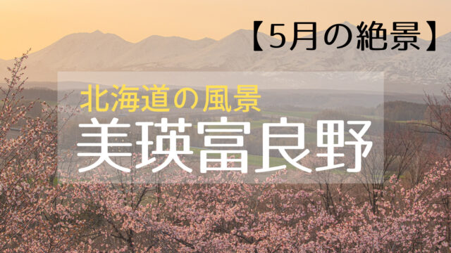 5月 春めく北海道美瑛富良野を観光しよう 桜 新緑 青い池も賑わい始める時期 美瑛と写真