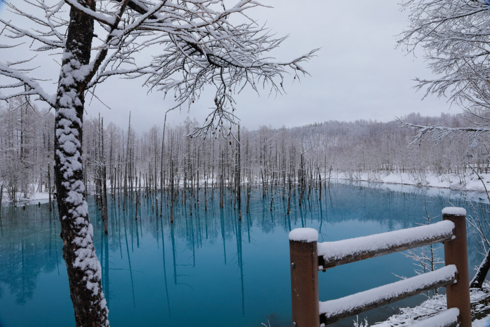 北海道美瑛町・4月の青い池