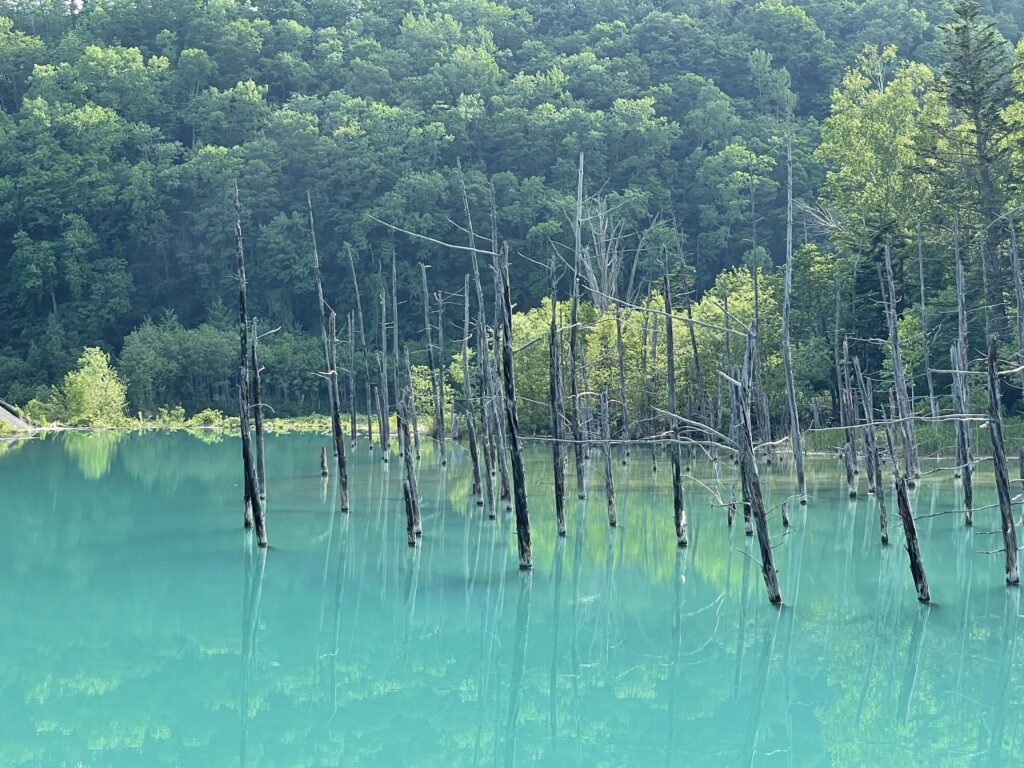 青い池の撮り方