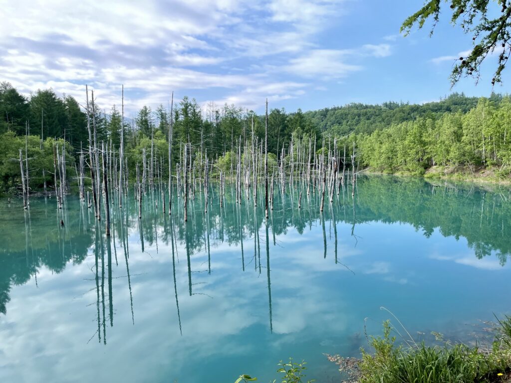 青い池の撮り方