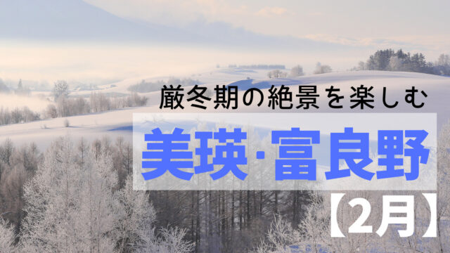 【厳冬の2月】絶景が広がる美瑛・富良野で丘の景色を堪能する