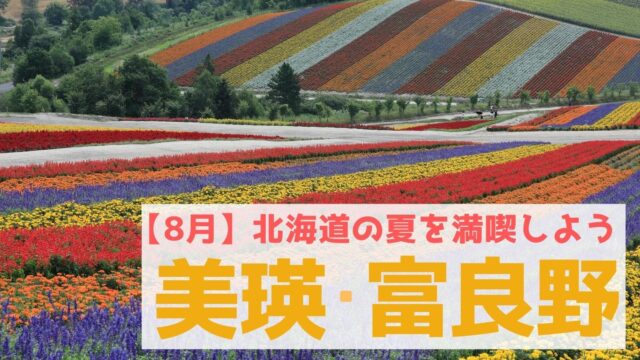 【8月の北海道】観光のハイシーズンを迎える美瑛富良野を楽しむ