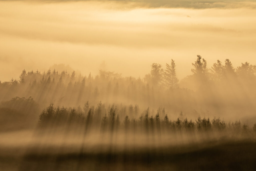 朝霧と光芒の風景
