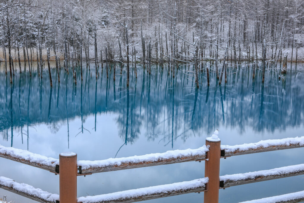 雪景色の青い池