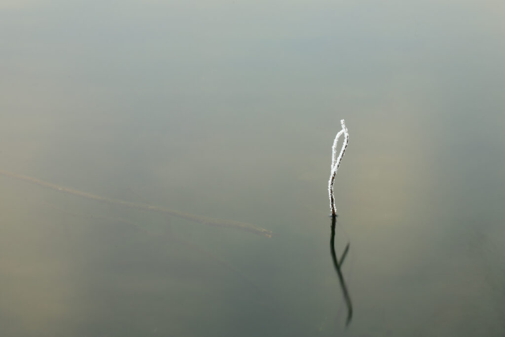 水面の長秒露光撮影