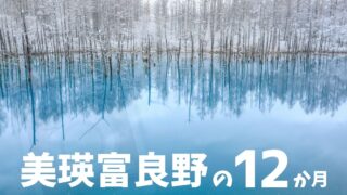 【美瑛富良野の12ヶ月】景色中心の観光や写真撮影をしたい人へ