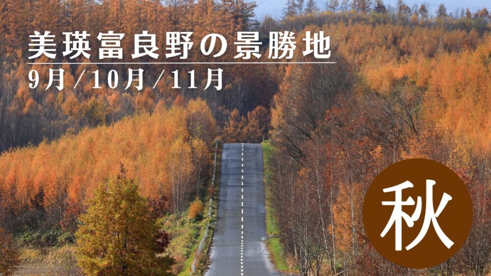 【秋】美瑛富良野の景勝地紹介（9月/10月/11月）