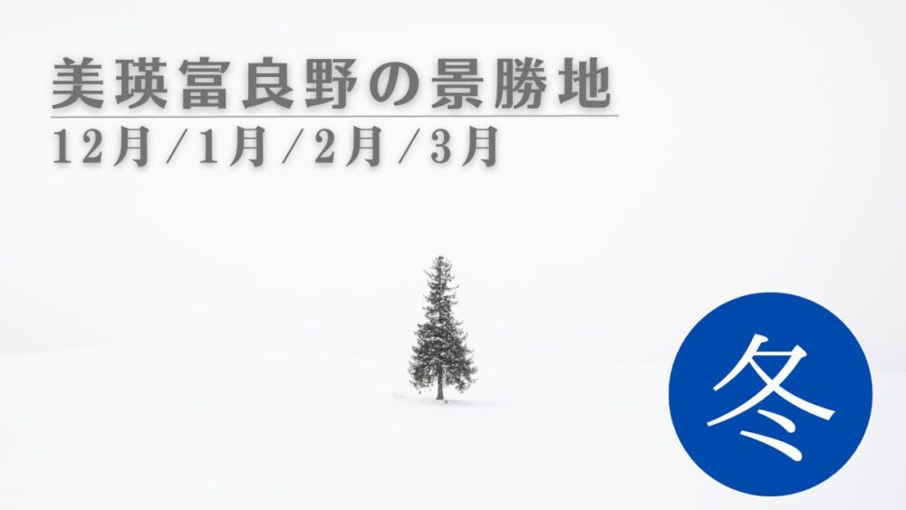 【冬】美瑛富良野の景勝地紹介（12月/1月/2月/3月）